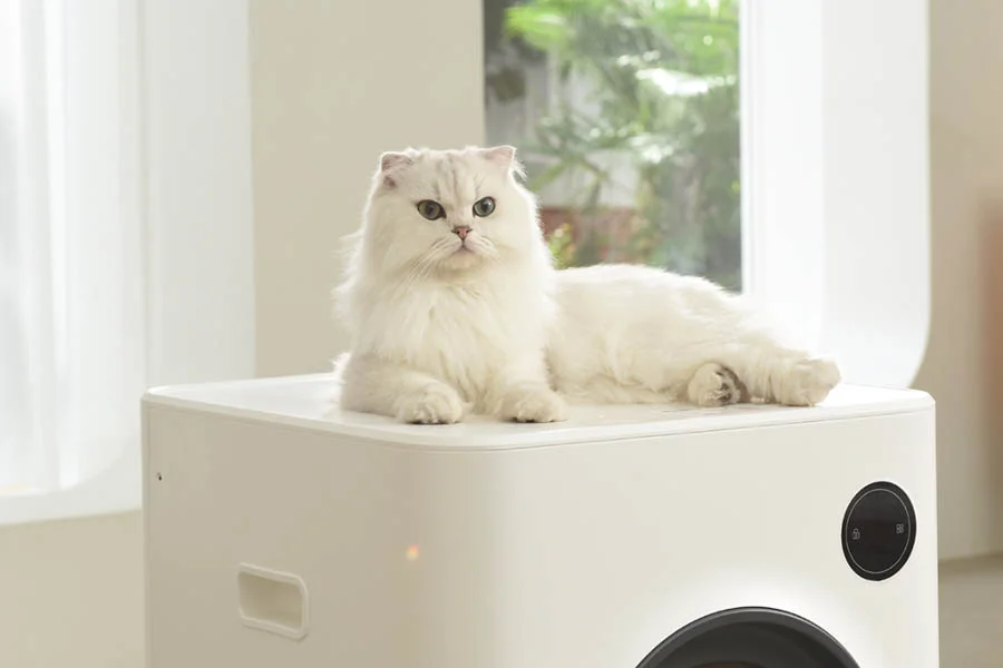 best rated self cleaning cat litter boxes