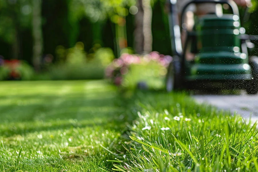 what is the best electric lawn mower